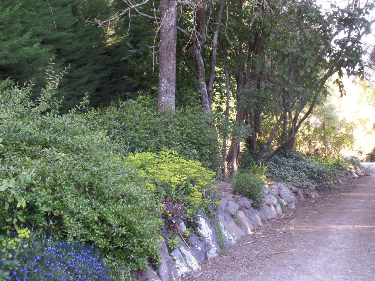 ジェラルディン リバーストーン ハウス Bed & Breakfast エクステリア 写真